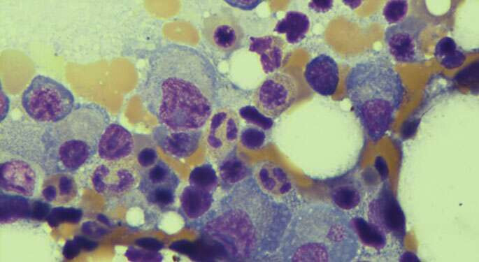 Daratumumab